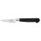 Deglon Sabatier Paring Knife Silver 7.6cm